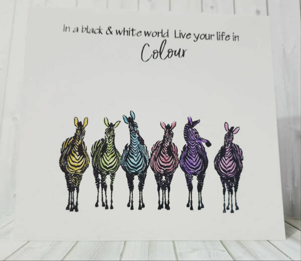 Colour your life with Zebras