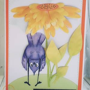 funny greeting cards