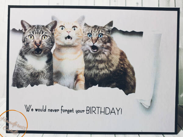 birthday greeting card with cats