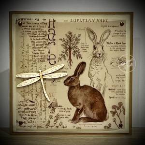 Vintage Hare Greeting Card
