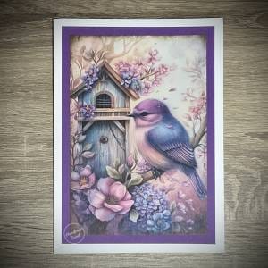 any occasion card with bird