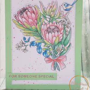 any occasion greeting cards for birthdays and more